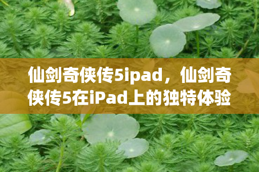 仙剑奇侠传5ipad，仙剑奇侠传5在iPad上的独特体验