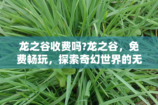 龙之谷收费吗?龙之谷，免费畅玩，探索奇幻世界的无限可能