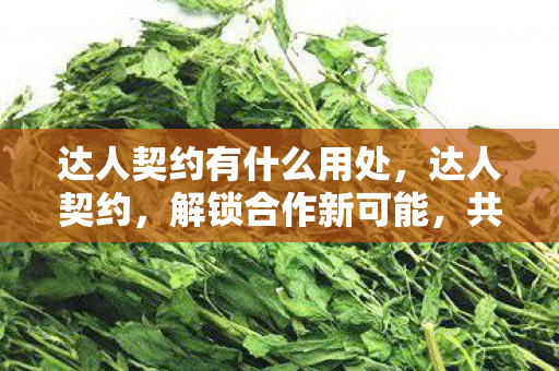 达人契约有什么用处，达人契约，解锁合作新可能，共创双赢新局面