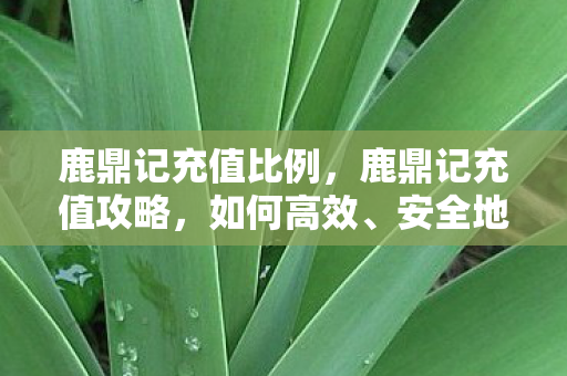 鹿鼎记充值比例，鹿鼎记充值攻略，如何高效、安全地充值？