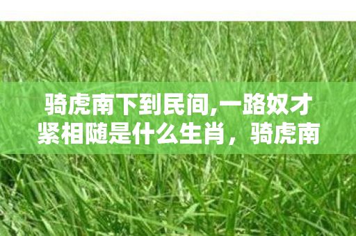 骑虎南下到民间,一路奴才紧相随是什么生肖，骑虎南下，探索游戏世界的无限可能