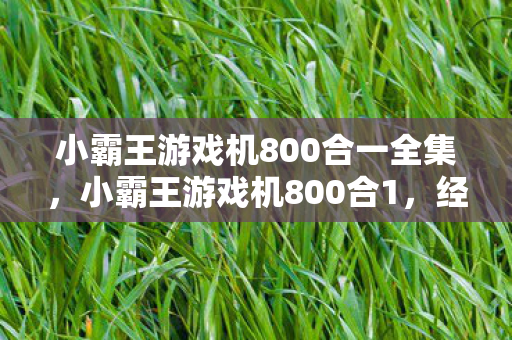 小霸王游戏机800合一全集，小霸王游戏机800合1，经典回忆与现代科技的碰撞