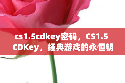 cs1.5cdkey密码，CS1.5 CDKey，经典游戏的永恒钥匙