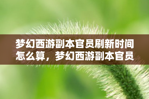 梦幻西游副本官员刷新时间怎么算，梦幻西游副本官员刷新时间详解
