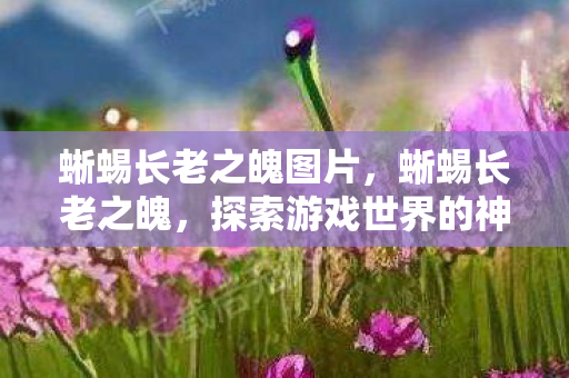 蜥蜴长老之魄图片，蜥蜴长老之魄，探索游戏世界的神秘力量