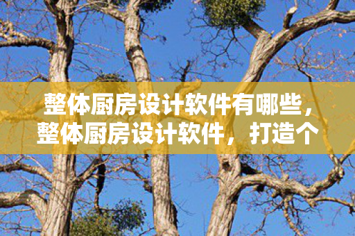 整体厨房设计软件有哪些，整体厨房设计软件，打造个性化家居空间的新利器