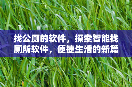 找公厕的软件，探索智能找厕所软件，便捷生活的新篇章