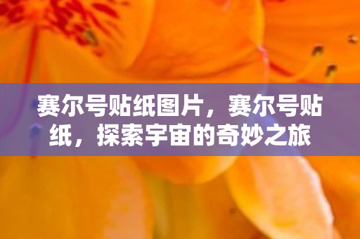 赛尔号贴纸图片，赛尔号贴纸，探索宇宙的奇妙之旅