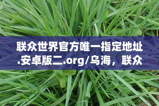 联众世界官方唯一指定地址.安卓版二.org/乌海，联众世界官方，经典游戏的传承与革新
