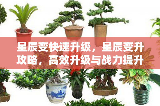 星辰变快速升级，星辰变升攻略，高效升级与战力提升全解析