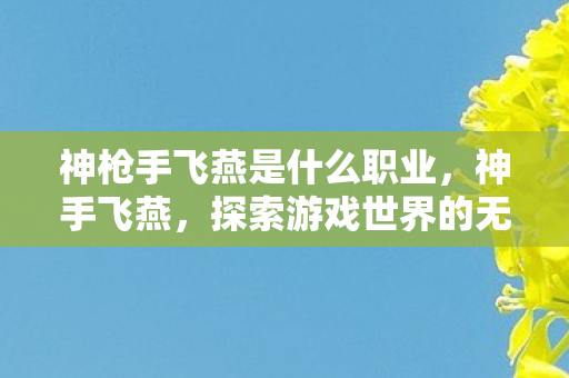 神枪手飞燕是什么职业，神手飞燕，探索游戏世界的无限可能