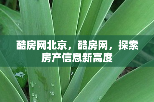酷房网北京，酷房网，探索房产信息新高度
