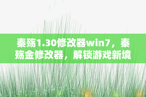 秦殇1.30修改器win7，秦殇金修改器，解锁游戏新境界的利器