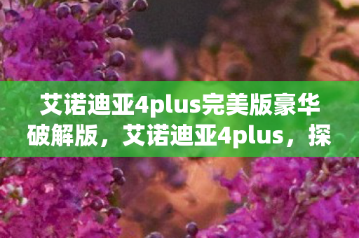 艾诺迪亚4plus完美版豪华破解版，艾诺迪亚4plus，探索未知世界的奇幻之旅