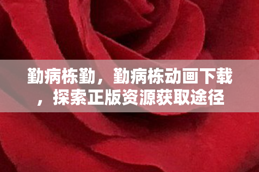 勤病栋勤，勤病栋动画下载，探索正版资源获取途径
