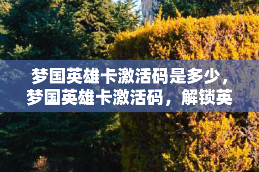 梦国英雄卡激活码是多少，梦国英雄卡激活码，解锁英雄之旅的密钥