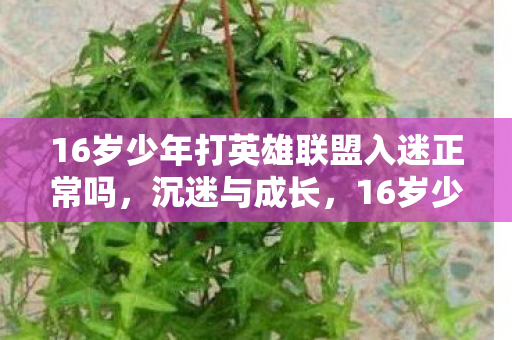 16岁少年打英雄联盟入迷正常吗，沉迷与成长，16岁少年与英雄联盟的交织世界