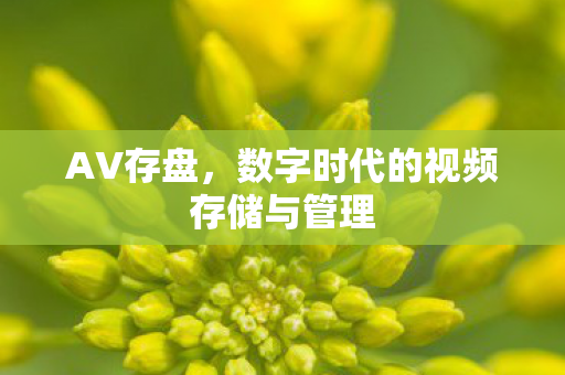AV存盘，数字时代的视频存储与管理