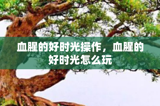 血腥的好时光操作，血腥的好时光怎么玩