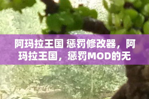 阿玛拉王国 惩罚修改器，阿玛拉王国，惩罚MOD的无限可能