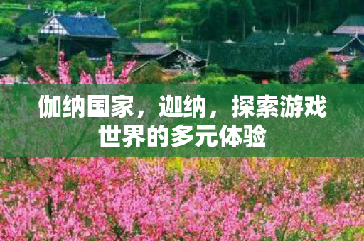 伽纳国家，迦纳，探索游戏世界的多元体验