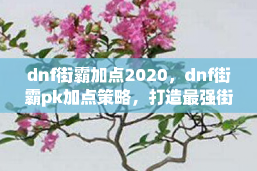 dnf街霸加点2020，dnf街霸pk加点策略，打造最强街头霸王