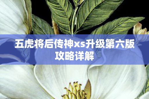 五虎将后传神xs升级第六版攻略详解 五虎将后传神xs升级第六版攻略详解