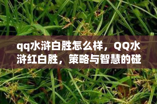 qq水浒白胜怎么样，QQ水浒红白胜，策略与智慧的碰撞