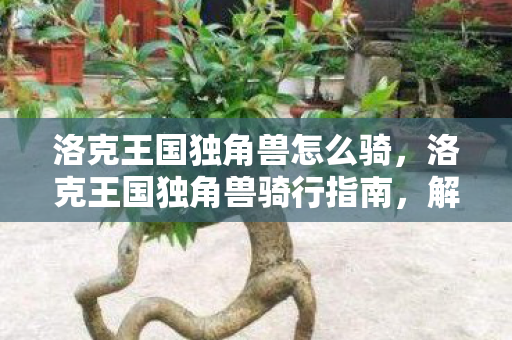 洛克王国独角兽怎么骑，洛克王国独角兽骑行指南，解锁独特体验