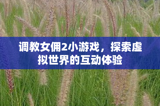 调教女佣2小游戏,探索虚拟世界的互动体验 调教女佣2小游戏,探索虚拟世界的互动体验