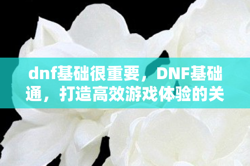 dnf基础很重要，DNF基础通，打造高效游戏体验的关键