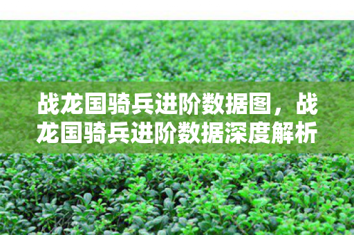 战龙国骑兵进阶数据图，战龙国骑兵进阶数据深度解析，解锁骑兵战斗力的关键