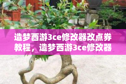 造梦西游3ce修改器改点券教程，造梦西游3ce修改器，解锁无限可能的冒险之旅