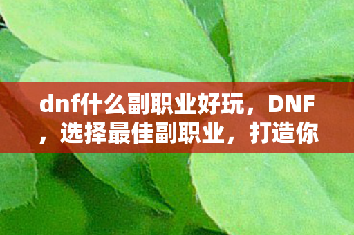 dnf什么副职业好玩，DNF，选择最佳副职业，打造你的专属角色