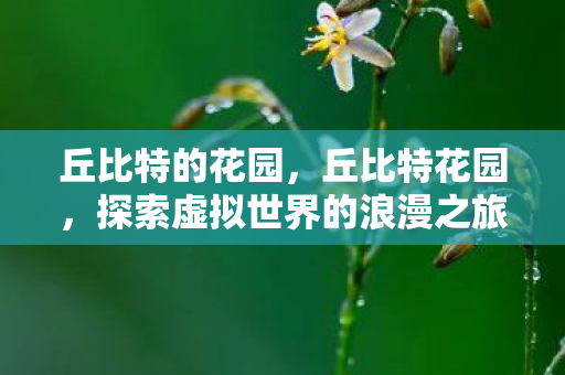 丘比特的花园，丘比特花园，探索虚拟世界的浪漫之旅