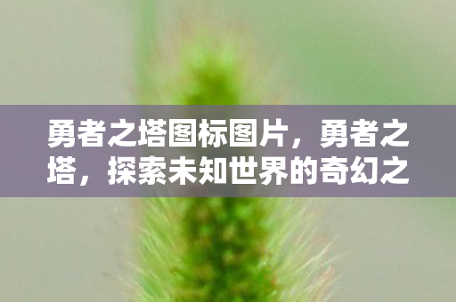 勇者之塔图标图片，勇者之塔，探索未知世界的奇幻之旅