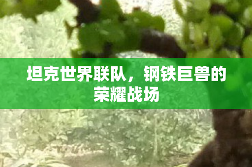 坦克世界联队,钢铁巨兽的荣耀战场 坦克世界联队,钢铁巨兽的荣耀战场
