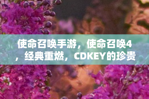 使命召唤手游，使命召唤4，经典重燃，CDKEY的珍贵回忆