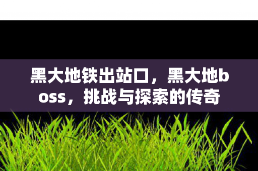 黑大地铁出站口，黑大地boss，挑战与探索的传奇