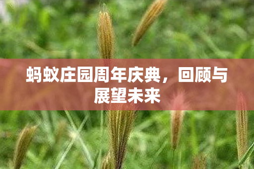 蚂蚁庄园周年庆典，回顾与展望未来