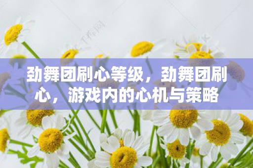 劲舞团刷心等级，劲舞团刷心，游戏内的心机与策略