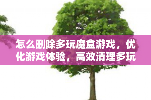 怎么删除多玩魔盒游戏，优化游戏体验，高效清理多玩魔盒的方法
