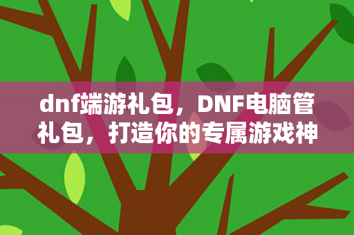 dnf端游礼包，DNF电脑管礼包，打造你的专属游戏神器