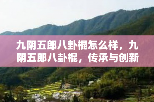 九阴五郎八卦棍怎么样，九阴五郎八卦棍，传承与创新的武侠之魂