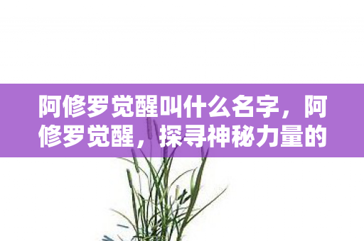 阿修罗觉醒叫什么名字，阿修罗觉醒，探寻神秘力量的觉醒之旅