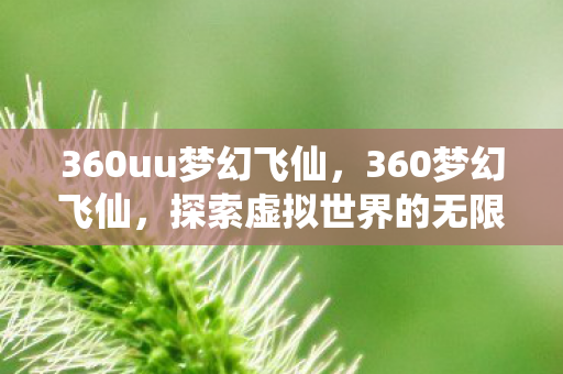 360uu梦幻飞仙，360梦幻飞仙，探索虚拟世界的无限可能