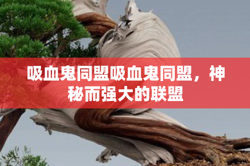 吸血鬼同盟吸血鬼同盟，神秘而强大的联盟