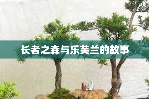 长者之森与乐芙兰的故事