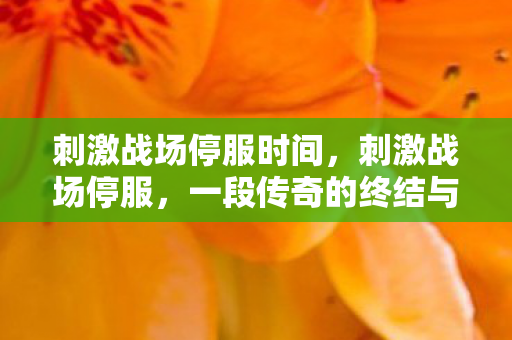 刺激战场停服时间，刺激战场停服，一段传奇的终结与未来的展望