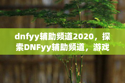dnfyy辅助频道2020，探索DNFyy辅助频道，游戏辅助工具的正确使用与合规性探讨